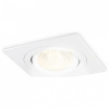 Встраиваемый светильник Ambrella Light TN TN102621