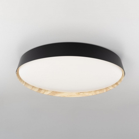 Накладной светильник Citilux BONNY CL754451G