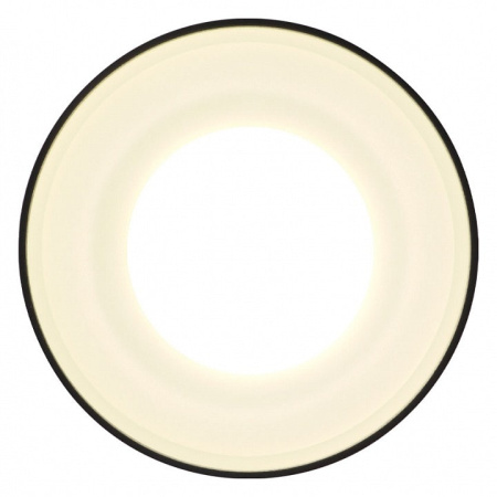 Накладной светильник Ambrella Light TN TN3204