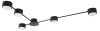 Потолочная люстра Arte Lamp TRACY A1527PL-5BK