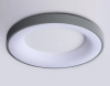 Накладной светильник Ambrella Light FZ FZ1402