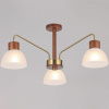 Люстра на штанге ILLUMICO  IL0286-3C-79 BR