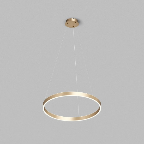 Подвесной светильник Denkirs RAYDIA DK6273-SG
