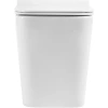Приставной безободковый унитаз BelBagno Ardente-R BB003CBR