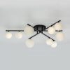 Потолочная люстра Citilux Glob CL209291