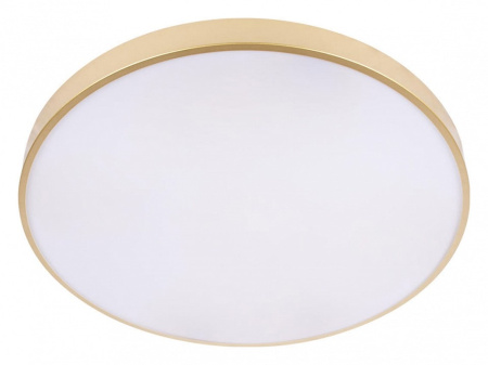 Накладной светильник Loft it Flims 10228/B