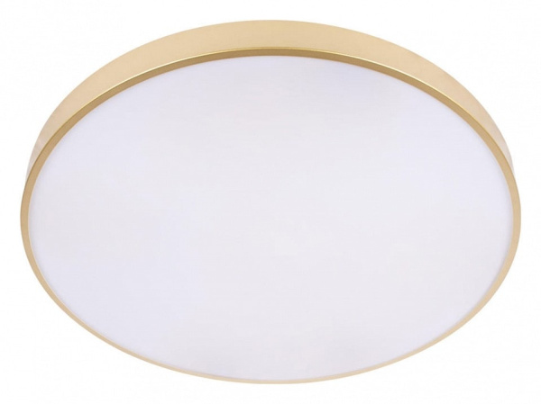 Накладной светильник Loft it Flims 10228/B