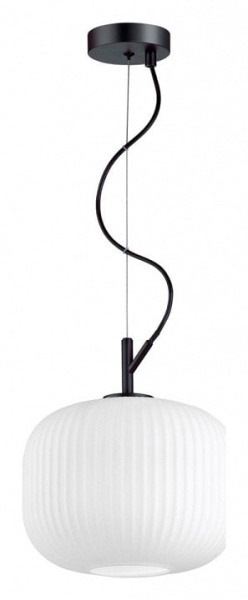 Подвесной светильник Odeon Light Roofi 4753/1