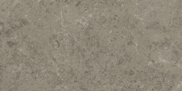 Atlas Concorde Marvel Meraviglia Керамогранит Grigio Elegante 60x120 лаппатированный