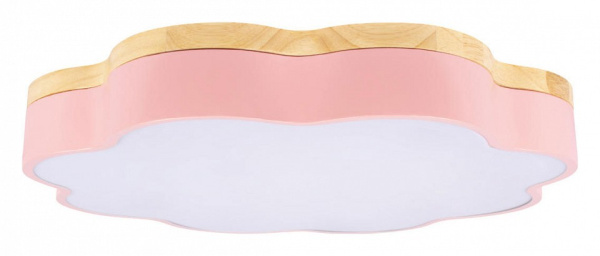 Накладной светильник Loft it Axel 10225/36 Pink