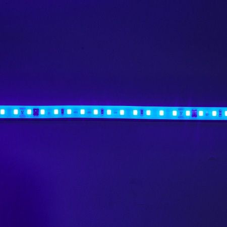 Лента светодиодная Eleganz  EL-220B