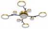 Потолочная люстра Favourite Hybrid 4686-9C