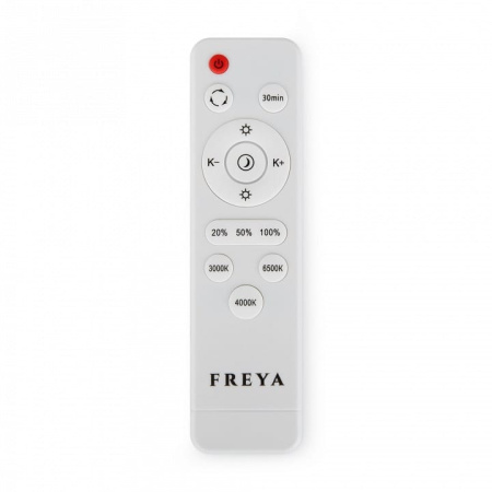 Накладной светильник Freya Route FR6088CL-L96W