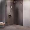 Душевая перегородка AM.PM X-Joy W94UWI-100-F1-MTE матовый хром