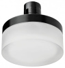 Накладной светильник Lightstar Due Hermes 210647