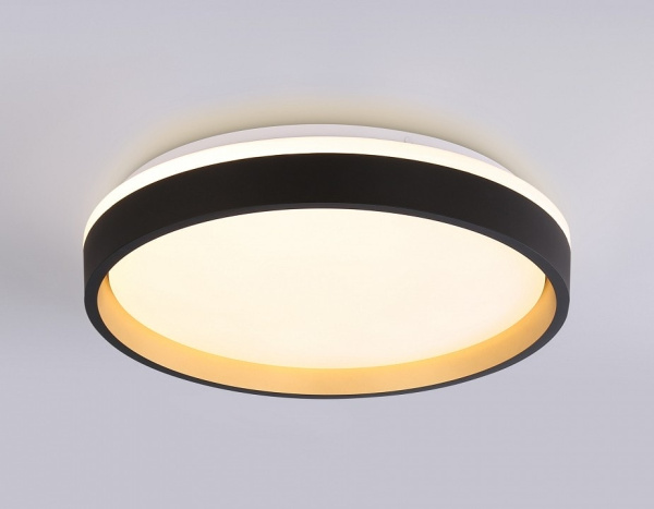 Накладной светильник Ambrella Light FZ FZ604