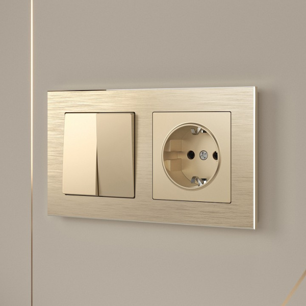 Выключатель двухклавишный без рамки Werkel шампань W1120011