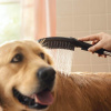Душевая лейка для собак Hansgrohe DogShower 26640670 черная матовая