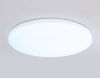 Накладной светильник Ambrella Light FZ FZ2002