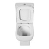 Чаша унитаза BelBagno Aurora BB8604CPR/SC с сиденьем