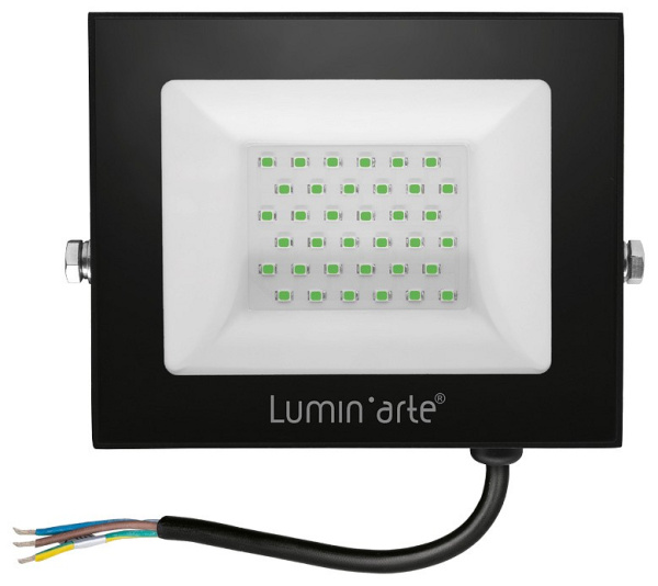 Настенно-потолочный прожектор Luminarte LFL LFL-50W/07