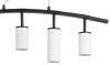 Подвесной светильник Lightstar Rullo LR735363862