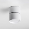 Накладной светильник Lightstar Acuto 215836