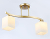 Светильник на штанге Ambrella Light TR TR303119
