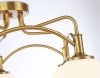 Потолочная люстра Ambrella Light TR TR3212