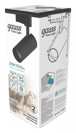 Светильник на штанге Gauss TR TR069