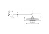 Верхний душ hansgrohe Raindance Select S 26466400