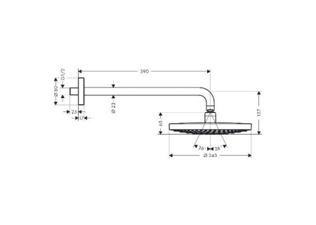 Верхний душ hansgrohe Raindance Select S 26466400