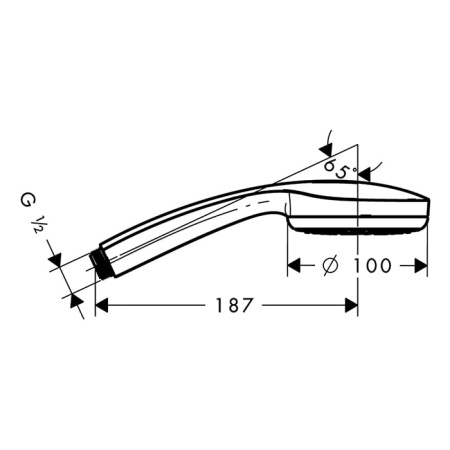 Душевая лейка Hansgrohe Croma 100 28583000