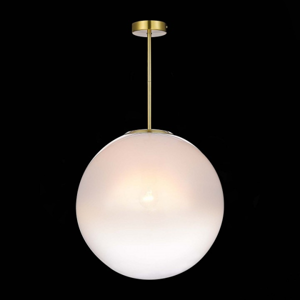 Светильник на штанге ST-Luce Cassius SL1190.222.01