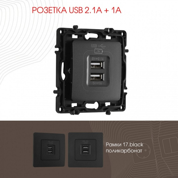 Розетка USB без рамки Arte Milano am-217 217.46-1.black