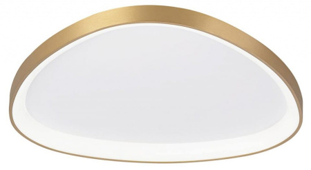 Накладной светильник Citilux GENKA SMART CL756A162