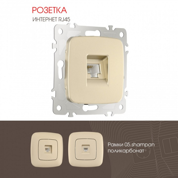Розетка Ethernet RJ-45 без рамки Arte Milano am-205 205.45-1.shampan
