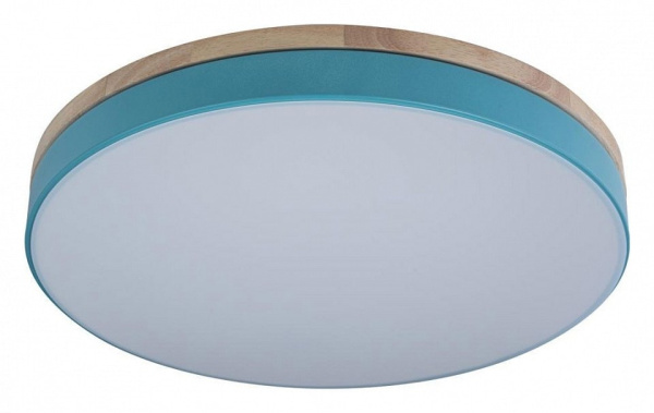 Накладной светильник Loft it Axel 10001/36 Blue