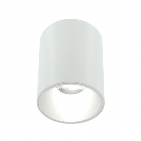Накладной светильник LIGHTERA Shamrock LE201CL-1WB