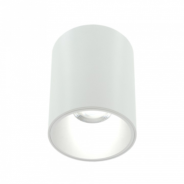 Накладной светильник LIGHTERA Shamrock LE201CL-1WB