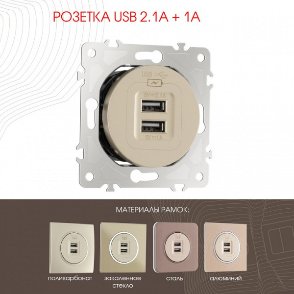 Розетка USB без рамки Arte Milano am-202 202.46-1.shampan