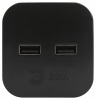 Разветвитель Эра  SP-2-USB-B