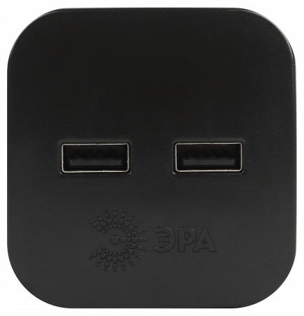 Разветвитель Эра  SP-2-USB-B