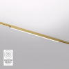 Накладной светильник Denkirs SHINE LINEAR DK5752-SB