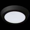 Накладной светильник Lightstar Urbano 216972