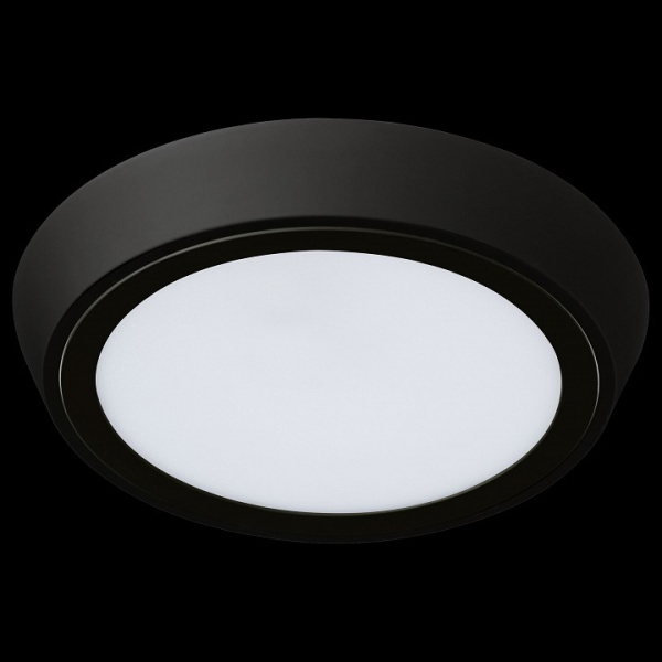 Накладной светильник Lightstar Urbano 216974