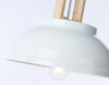 Подвесной светильник Ambrella Light TR TR8190