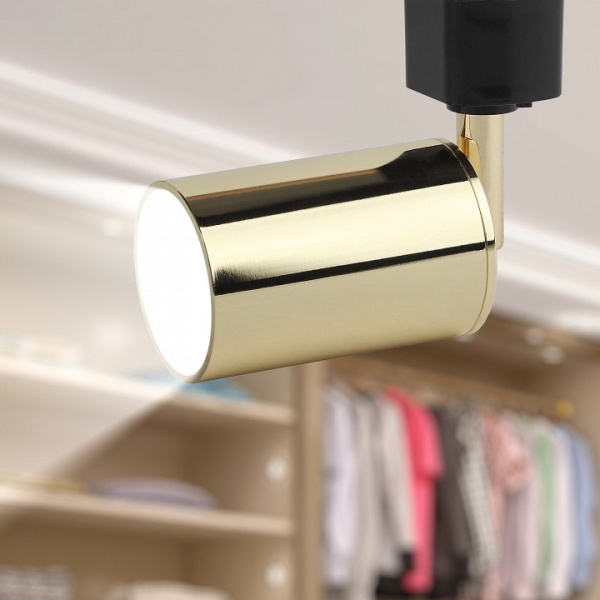 Светильник на штанге Эра TR14-GU10 GD