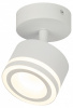 Спот Эра OL52 WH Б0059806