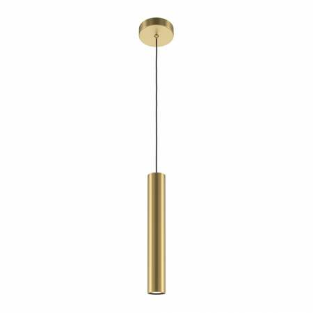 Подвесной светильник Maytoni Pro Focus MOD161PL-01G1